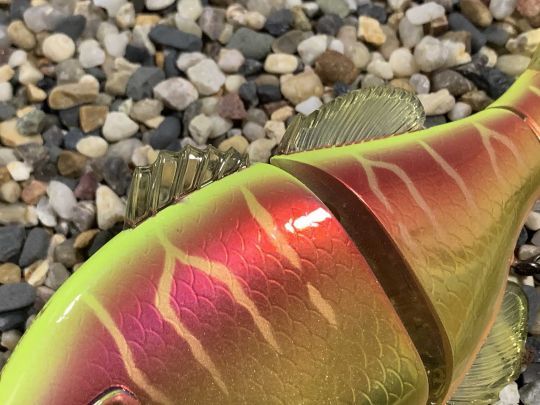 Les nageoires donnent du réalisme au leurre.