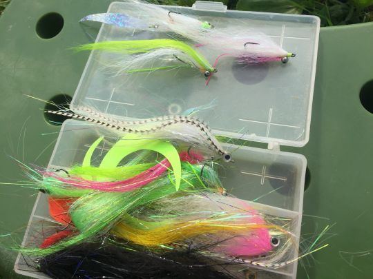 Les petits streamers lestés en tête et de coloris flashy sont les plus employés pour tenter le sandre à la mouche. 