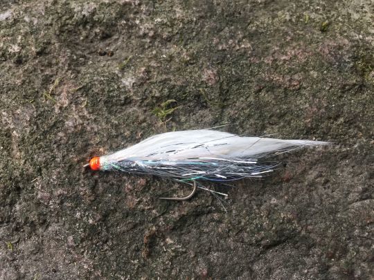 Une variante du streamer blanc casque orange qui me rapporte souvent de belles truites!