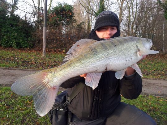 Trouver et connaitre les bons postes est l'une des clés