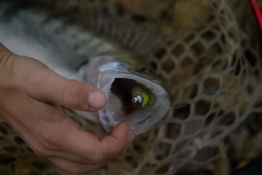 Le ferrage est largement optimiser quand on a des touches de qualité