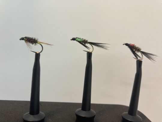 Quelques modèles et variantes de l'auteur 