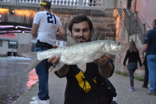 Un aspe de la petite France