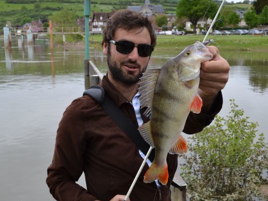 Il est possible de capturer de belles perches à Rouen