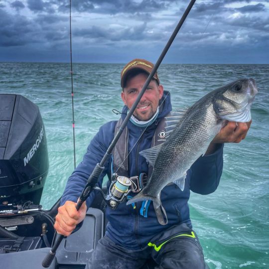 Le Statement 724, distribué par Rodhouse, est mon blank coup de cœur de la saison 