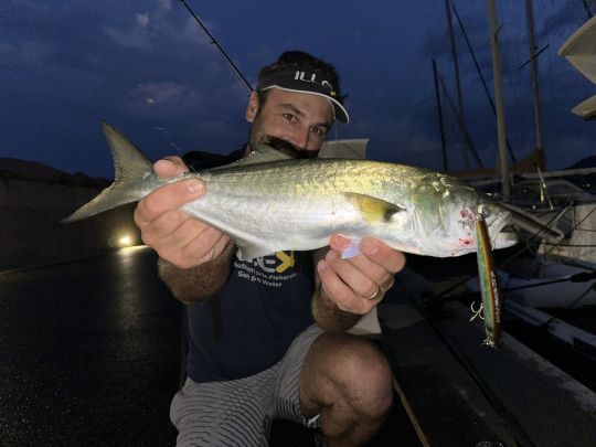 Le tassergal est un prédateur brutal