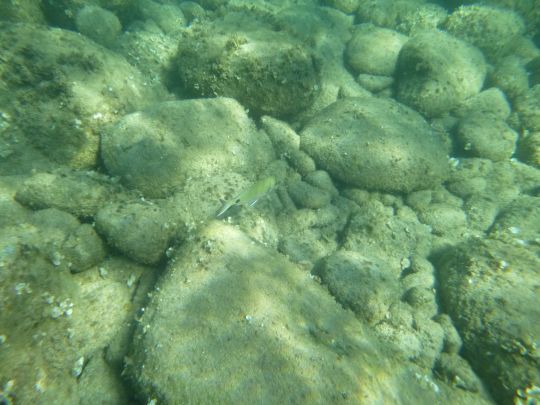 Connaitre les fonds où l'on pêche.