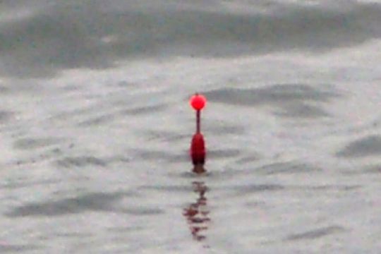 Le pêcheur à la ligne subit une nouvelle mesure discriminatoire