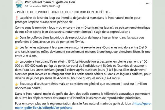 La publication originale du Parc Marin du golfe du Lion