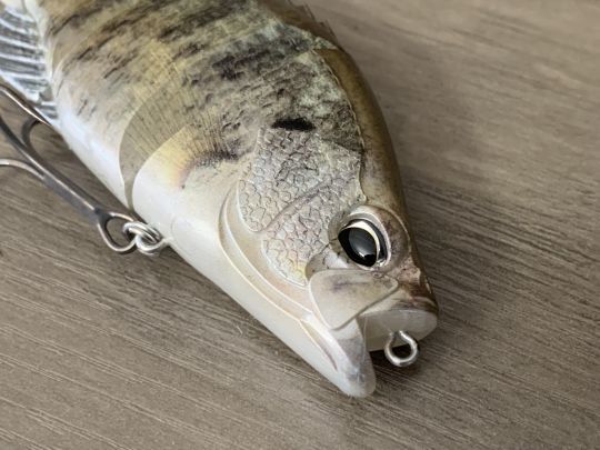 La finition est réussie.