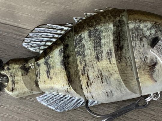 Les nageoires accentuent le réalisme.