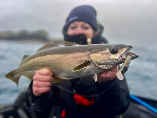 La persévérance est toujours récompensée.