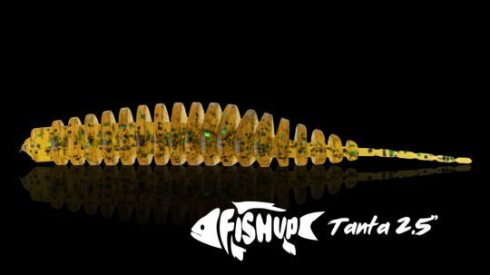 Cette imitation de larve est autorisée officiellement en Charente-Maritime. Mais ce n'est pas le cas partout...