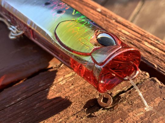 Sa bouche est de la même taille que le corps.