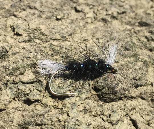 Un modèle simple mais terriblement efficace lorsque les truites se nourrissent de chiro émergent