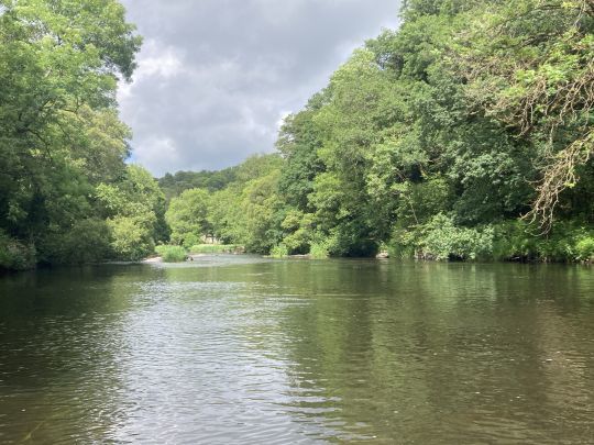Que ce soit en petite ou grande rivière, rapide ou lente, le Elk Hair Caddis vous permettra de prendre des truites un peu partout en France et à l'étranger