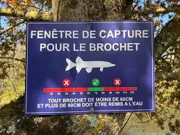 Fenêtre de capture ou comment protéger les géniteurs 