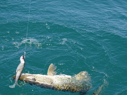 S'amuser toute l'année