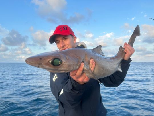 Deux nageoires dorsales précédées d'épines.