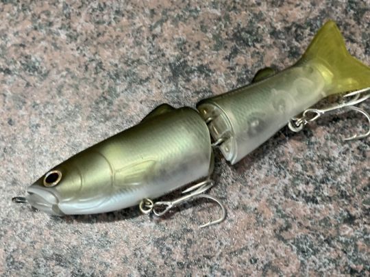 La forme est allongée.