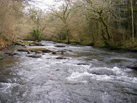 La noyée permet de bien pêcher les veines de courant