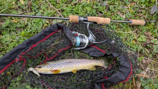 Le Black Minnow 70 permet de pêcher lentement, même dans les zones encombrées, afin d'aller déloger les poissons postés.