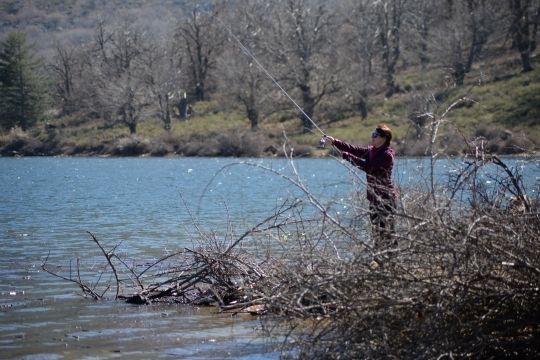 Les objectifs longues focales sont intéressant pour les photos d'ambiances