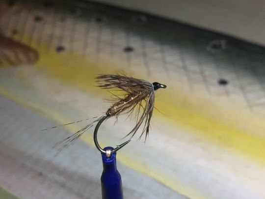 Une noyée efficace aussi bien en France qu'à l'étranger car elle représente une grande variété d'éphémères