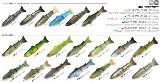 Les couleurs sont nombreuses.