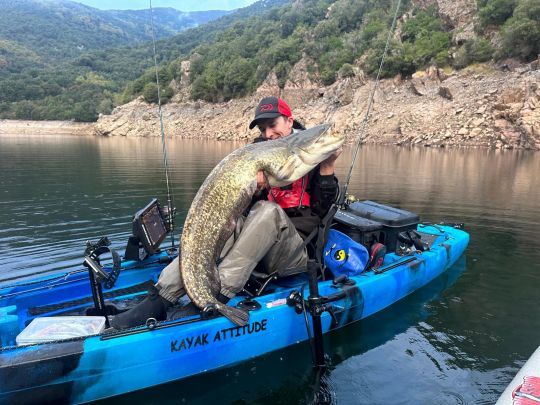 Pêcher le silure en sharpshooting