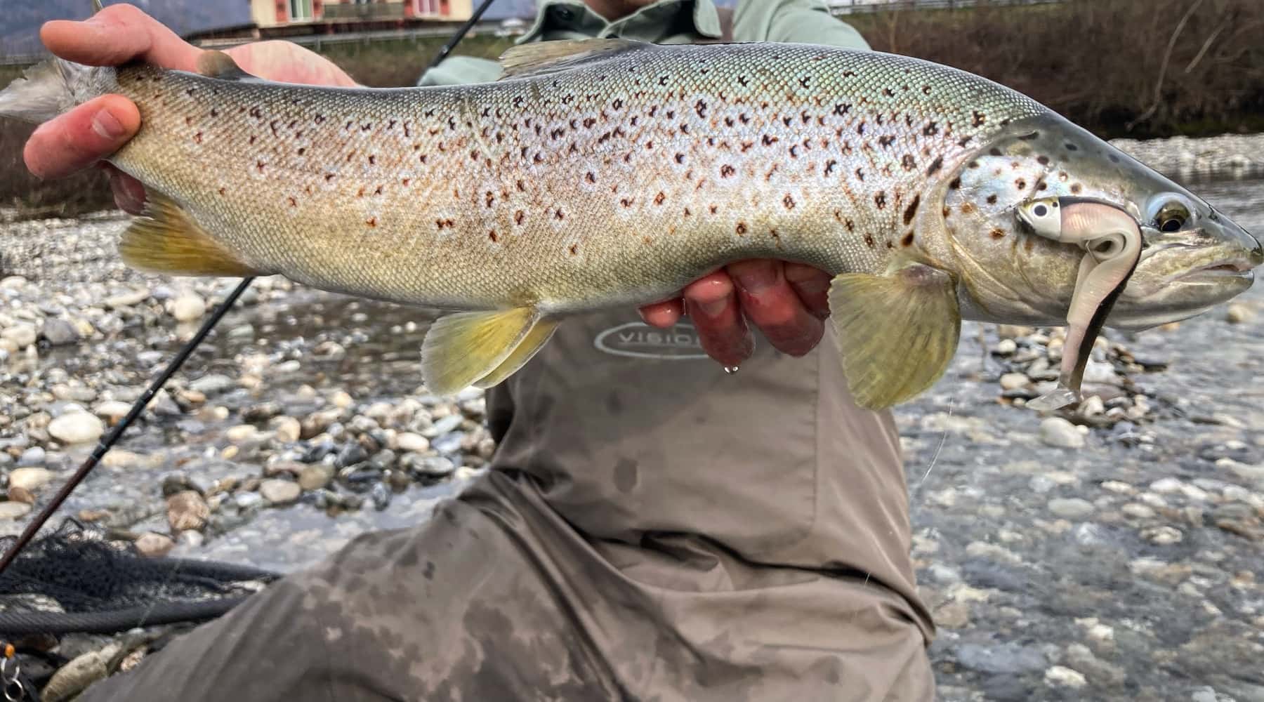 Sonderausgabe Forellenangeln 