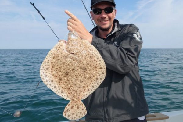 Ein hbscher Steinbutt, der mit Makrelenfilets gefangen wurde