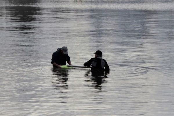 Seine Kder ernten