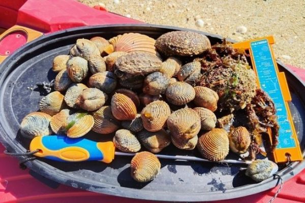 R�ckkehr der gro�en Gezeiten