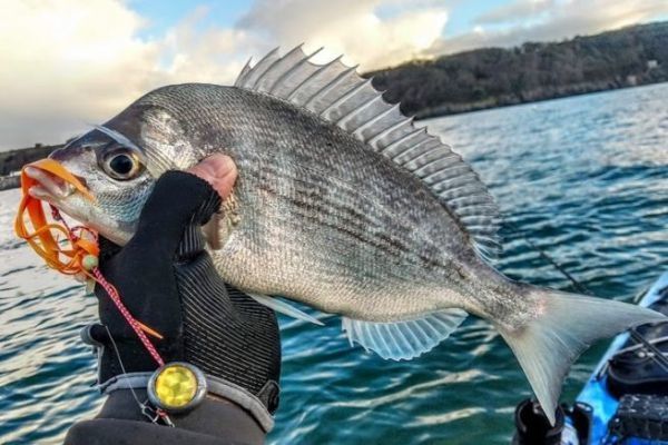 Anpassung an neue Vorschriften fr den Fischfang