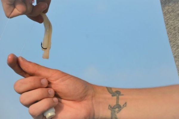 Im Winter mit Tintenfischbrust auf See fischen