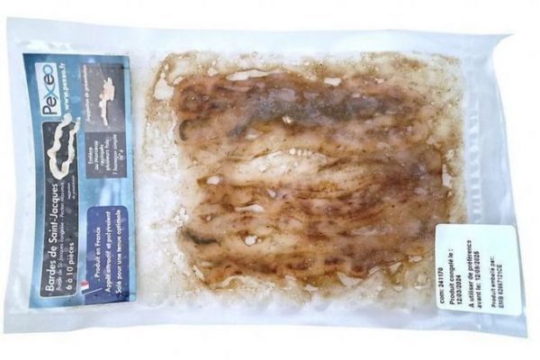 Schindel aus Jakobsmuscheln fr den Fischfang