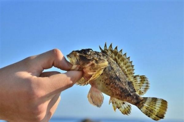 Rockfishing am Power Isome