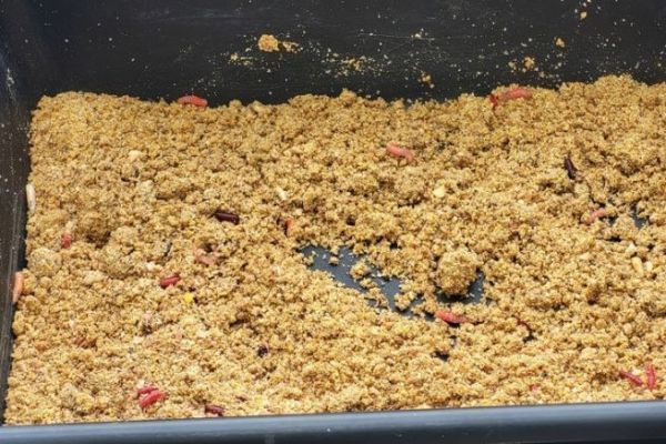 Angeln mit Kdern in Swasser