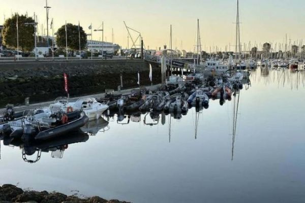 Open Labrax in Cherbourg