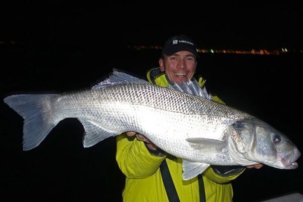 Enorme Bar, die bei Einbruch der Dunkelheit mit dem Boot aufgenommen wurde