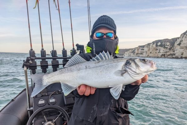Im Herbst auf Wolfsbarsch angeln