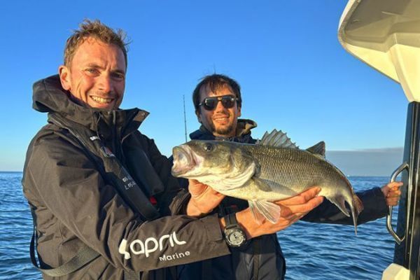 Mit Stickbait gefangener Seebarsch bei Sonnenaufgang