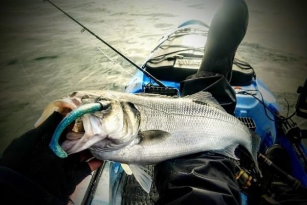 Die Fischerei bedroht!