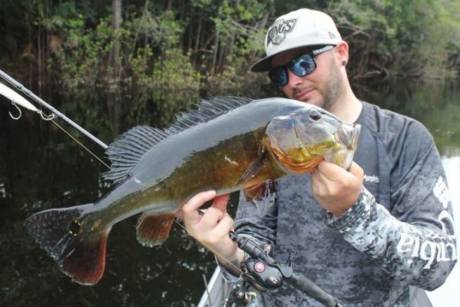Eine XH Castingrute ist ideal zum Angeln auf Peacock Bass!
