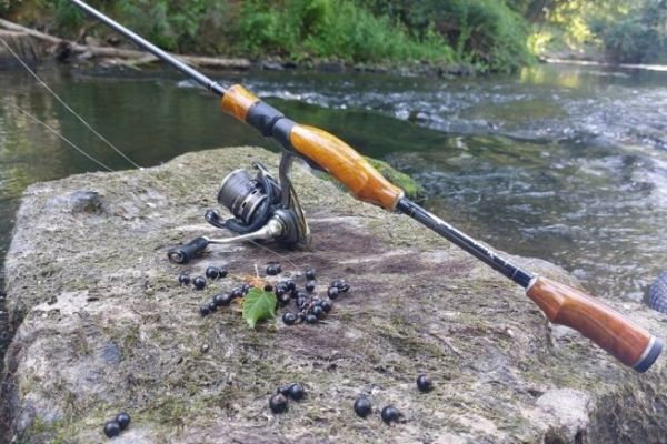 Brombeeren, Schwarze Johannisbeeren, Holunderbeeren, Schlehen, ... solange es Saison hat!