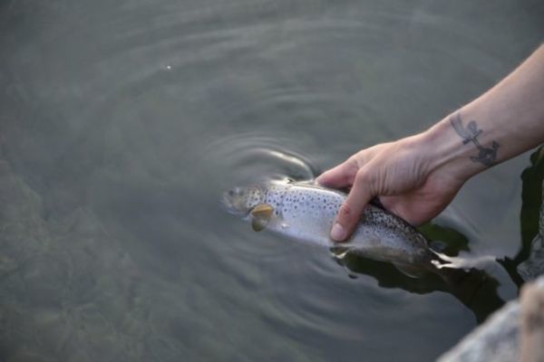 Das Problem der thermischen Belastung