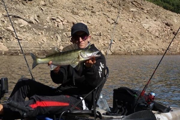 Zander ein begehrter Raubfisch