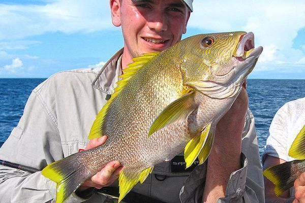 Ein Maori-Snapper aus Madagaskar