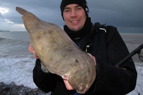 Seezunge ist beim Surfcasting eine groe Freude!